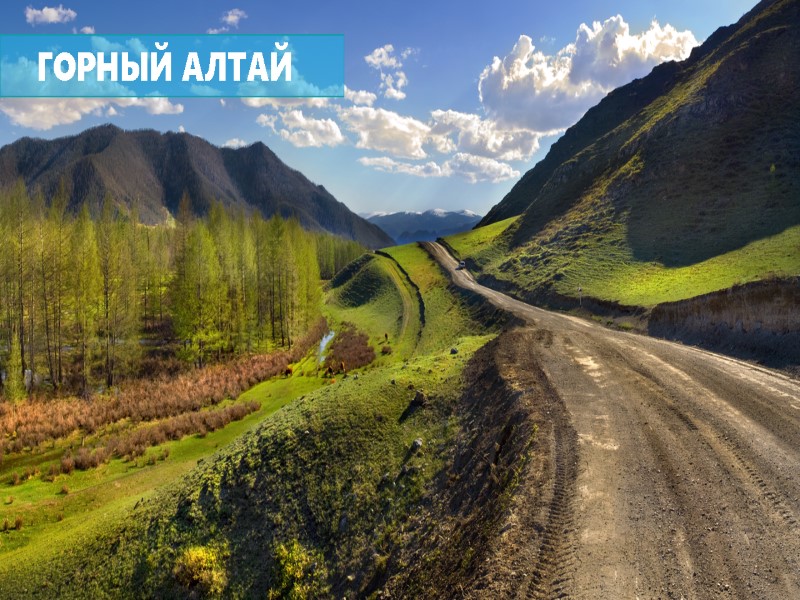 ГОРНЫЙ АЛТАЙ